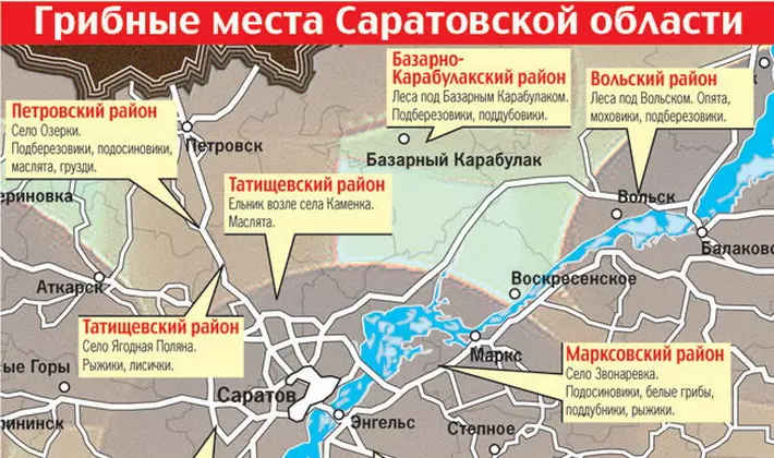 грибные места на карте Саратовской области 2019, фото 2