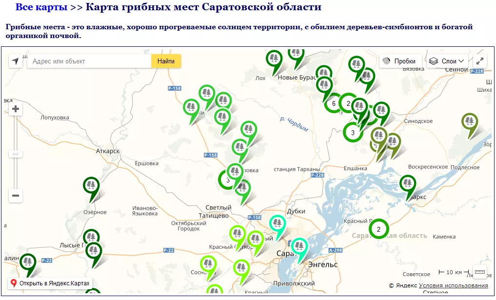 грибные места на карте Саратовской области 2019, фото 3