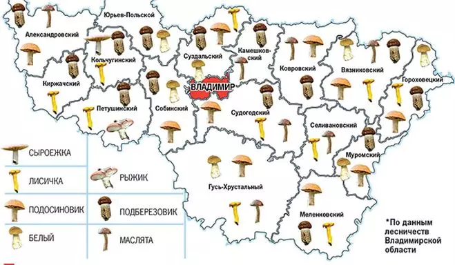 карта грибных мест
