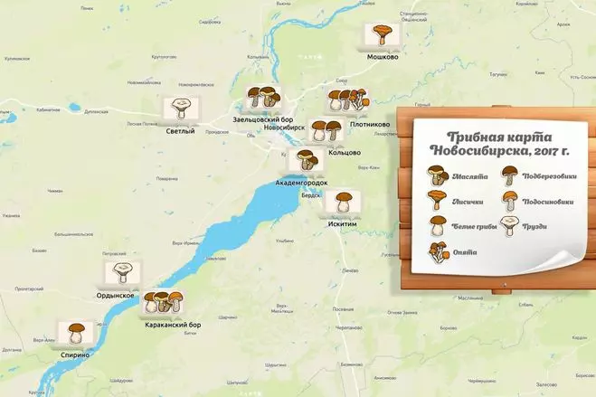 грибные места Новосибирска, карта 2019 фото 2