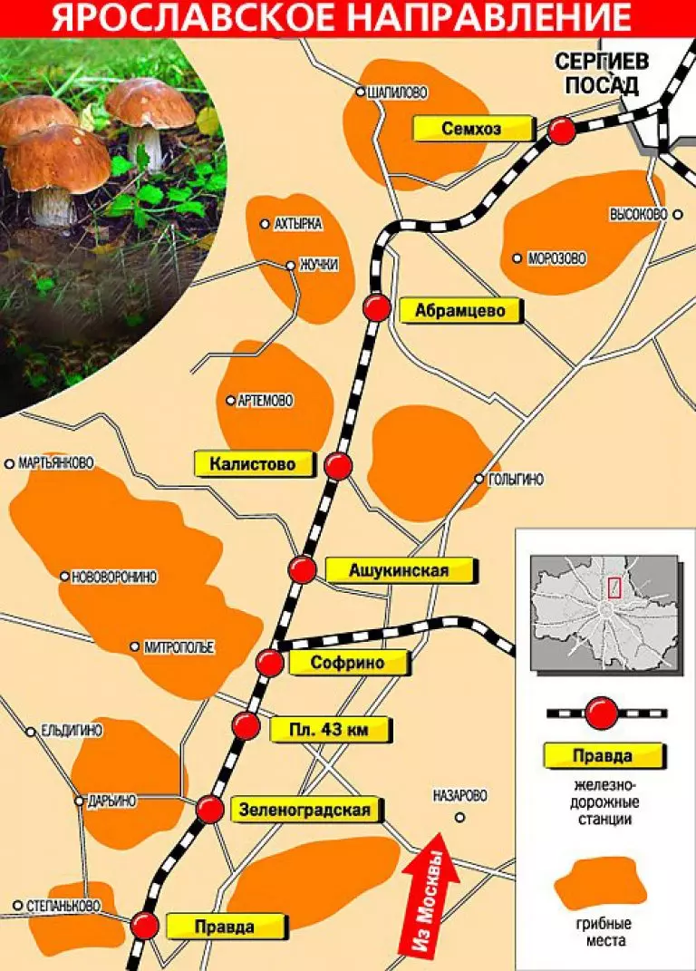 Ярославского направления сегодня. Грибная карта Подмосковья Ярославское направление. Грибные места в Подмосковье 2020. Грибная карта Подмосковья 2021. Грибные места в Подмосковье 2021 на карте.