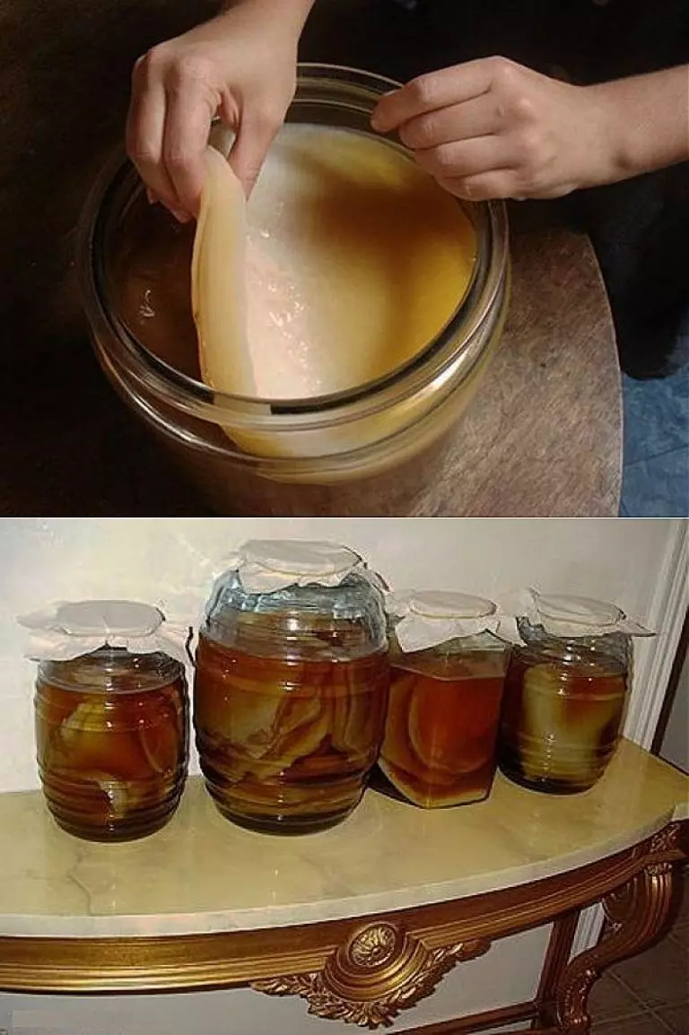 Как правильно заливать чайный гриб