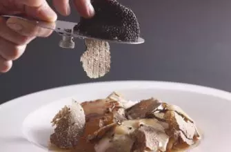 Паста с трюфелем и другие блюда с самым дорогим грибом