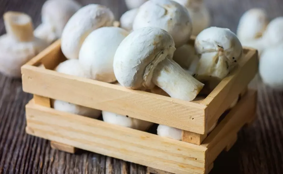 Сколько и как хранить грибы в холодильнике
