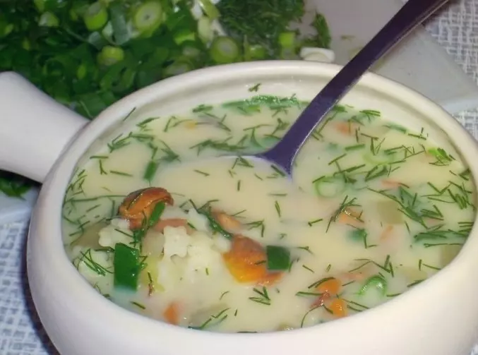 Грибной суп из подосиновиков свежих, сушеных и замороженных
