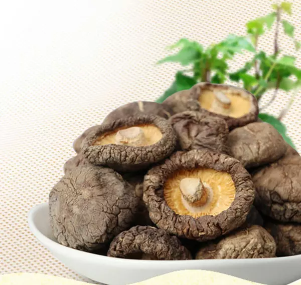 Описание, польза и вред, ареал распространения и съедобности китайских грибов