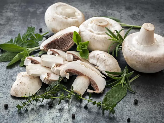 Кому нельзя есть грибы и какие? Можно ли грибы беременным, детям и людям с диабетом