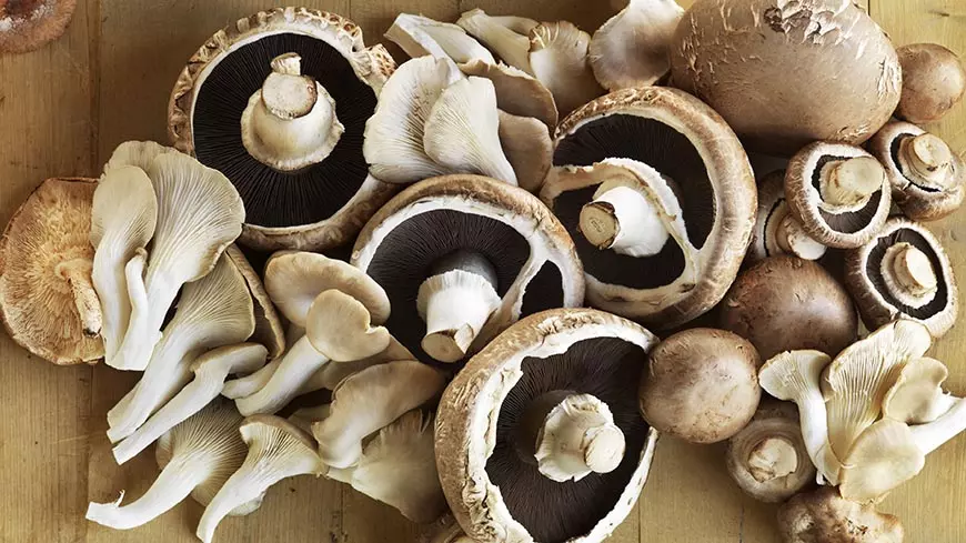 Кому нельзя есть грибы и какие? Можно ли грибы беременным, детям и людям с диабетом