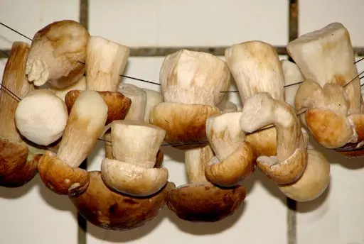 Сушеные грибы, как готовить и сушить – оригинальный рецепт