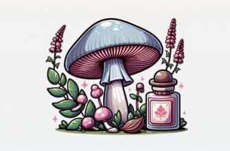 🍄 Млечник серо-розовый: гриб с ароматом цикория