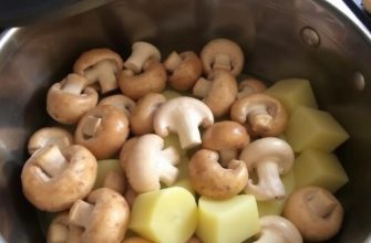 Setas para hacer patatas con setas al horno: guía completa y trucos para un plato inolvidable Setas para hacer patatas con setas al horno: guía completa y trucos para un plato inolvidable